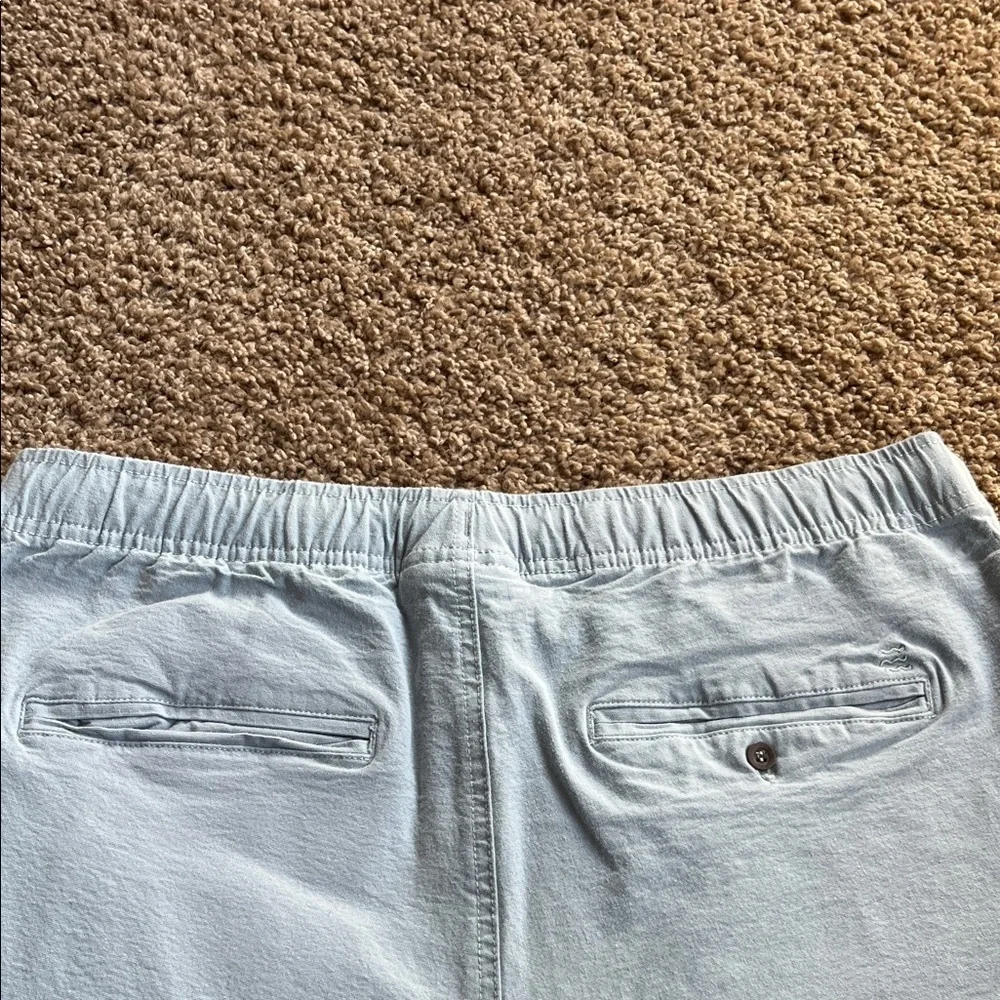 Free Fly Apparel Light Blue Men's Flat Front Shorts